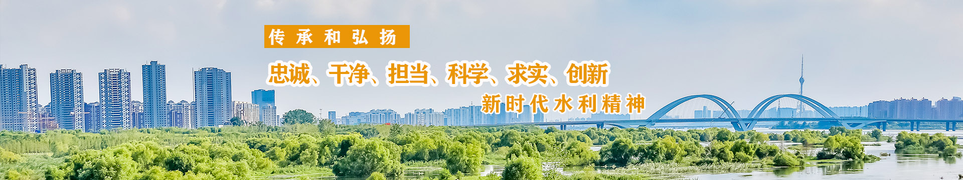 学会概况